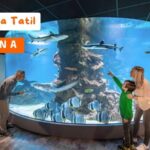 Bakü’de Çocuklarla Tatil: Azerbaycan’ın Başkentini Keşfedin