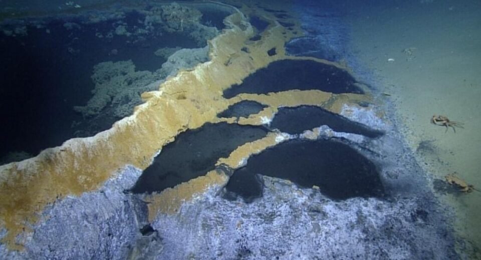 "Hiçbir Canlının Hayatta Kalamadığı Deniz Altı Havuzu" şeklinde değiştirilebilir. Alternatif olarak: "Hayatın Olmadığı Deniz Altı Havuzu".