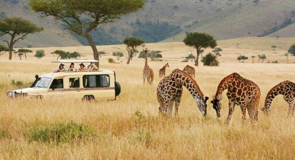 Kenya Hakkında Bilmeniz Gereken İlginç Bilgiler