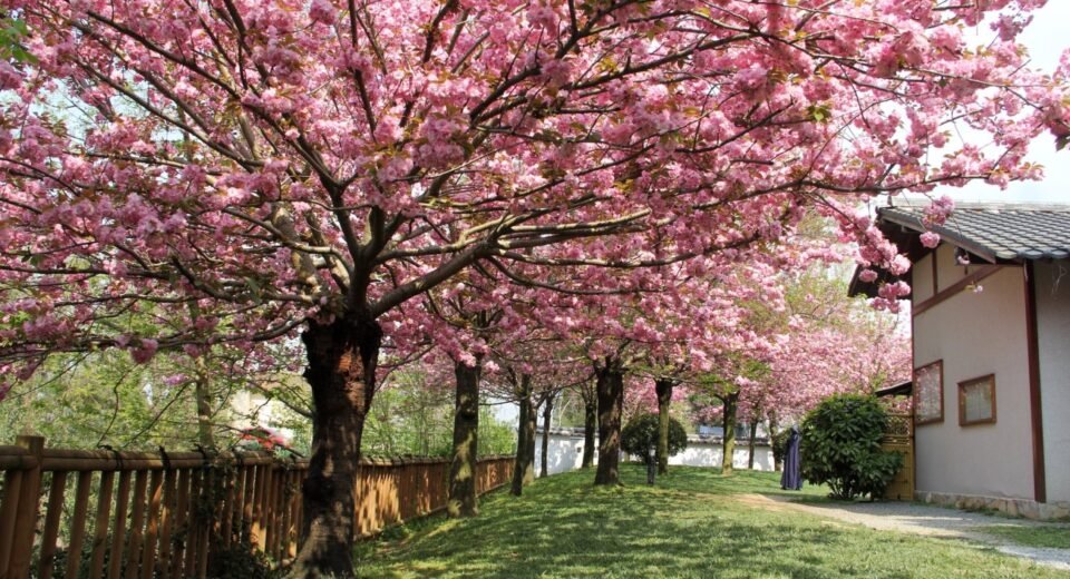 İstanbul'da Bayram Tatilini Geçirecekler İçin 8 Eğlenceli Aktivite Önerisi