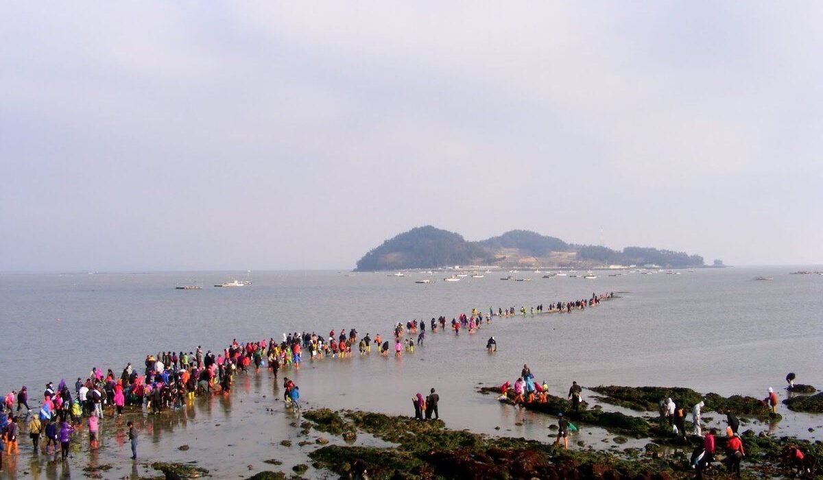 Yılda Sadece İki Kez Görünen Jindo Denizi'ndeki Kara Parçası, Güney Kore'de