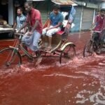 Nemrut Dağı Hakkında Bilinmesi Gereken 10 Önemli Bilgi