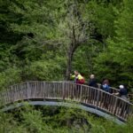 Kükürtlü Gazların Yol Açtığı Mavi Lavların Aktığı Endonezya’daki Volkan