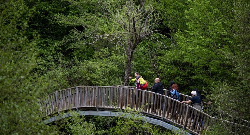Kastamonu'nun Doğa Harikası Horma Kanyonu Nerede?