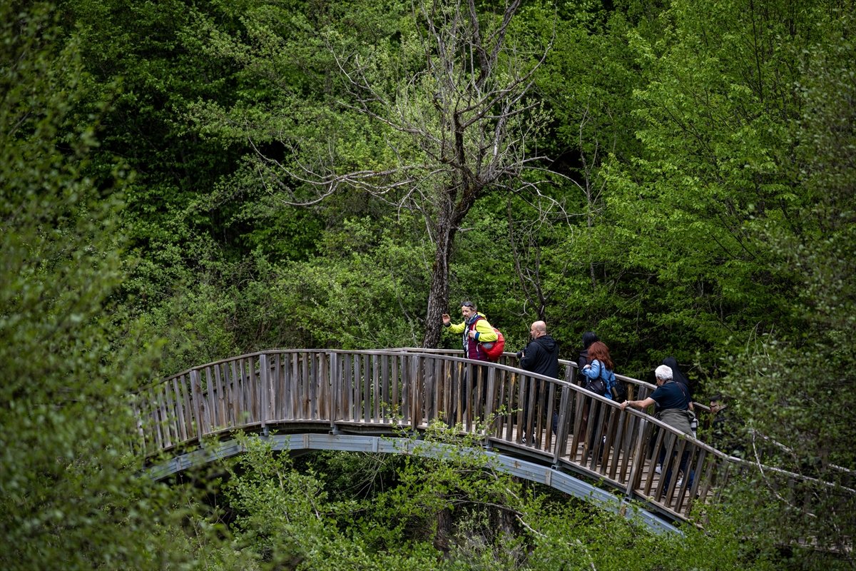 Kastamonu'nun Doğa Harikası Horma Kanyonu Nerede?