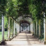 Amazon Nehri’ni Yürüyerek Geçen İlk İnsan: Ed Stafford’un Olağanüstü Hikayesi