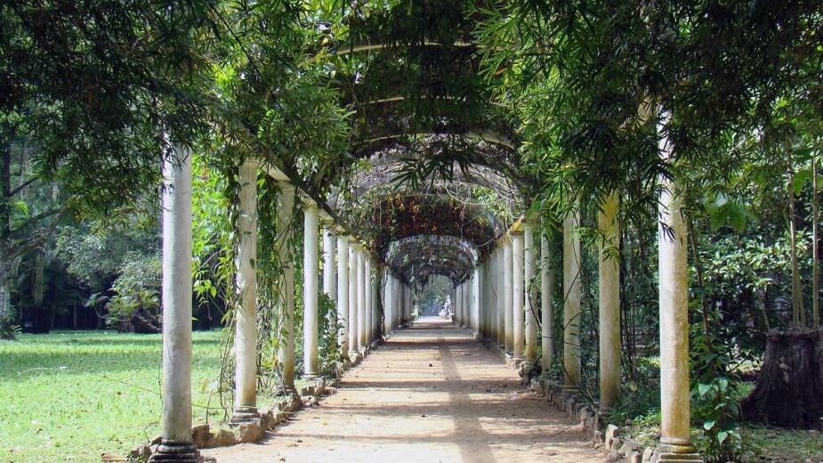 Doğanın Benzersiz Renklerini Barındıran Parklar