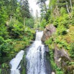 Japonların Yalnızlığa Karşı Geliştirdiği 5 İlginç Çözüm